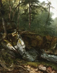 Studie fra naturen: Rocks and Trees in the Catskills, N.Y., 1856